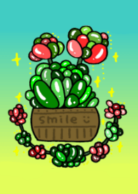 ぷにぷに多肉植物