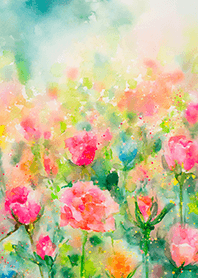 Beautiful rose flower(R3726)