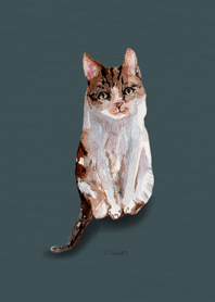 Tabby's daily
