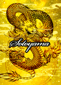 Sotoyama Golden Dragon Money luck UP