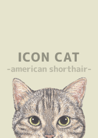 ICON CAT-American Shorthair-PASTEL YE/02
