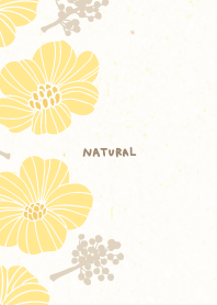 elegant flowers and fruits11