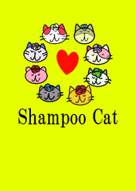 Shampoo Cat 2