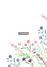 water color flowers_713