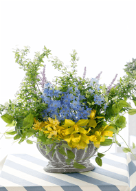 theme【flower】04