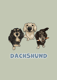 dachshund5 / mist green