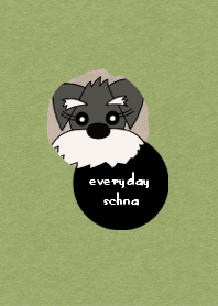 everyday シュナウザー