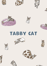 tabbycat1 / light cream
