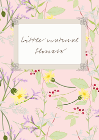 Little natural flowers 13