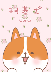น่ารัก/ลูก/คอร์กี้/ดอกกุหลาบสีชมพู