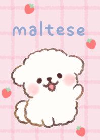 Fluffy Maltese Puppy watercolor