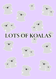 LOTS OF KOALAS/LIGHT PURPLE
