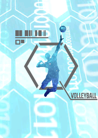 電脳Volleyball