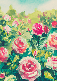 Beautiful rose flower(R4368)