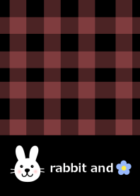 Check pattern and rabbit from japan