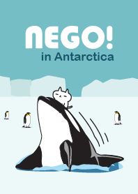 NEGO! in Antarctica