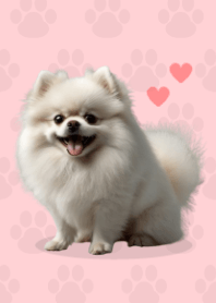 Cute Pomeranian Theme Pink 02