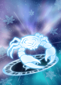 12星座 蟹座 -雪の結晶-
