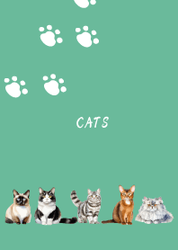 Lovely cats on blue green