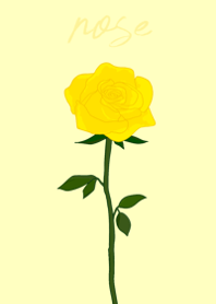 a rose(yellow)