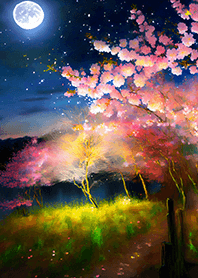 Beautiful night cherry blossoms#13