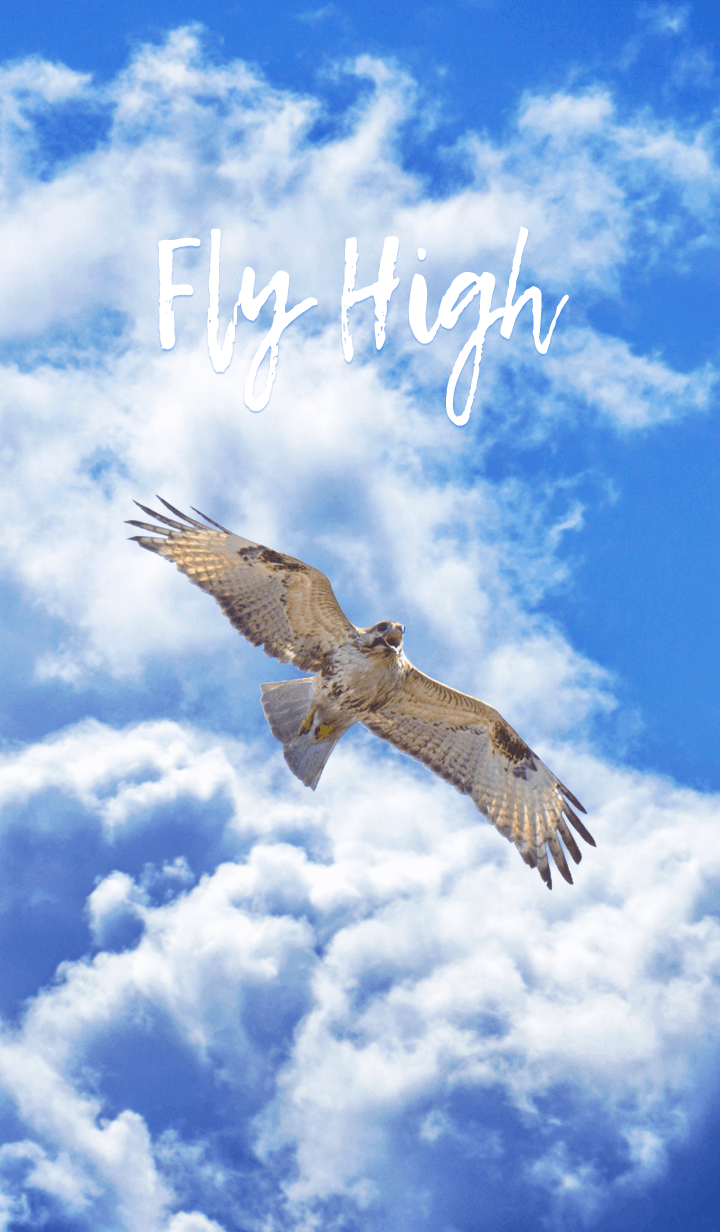 LINE Creators #39 Themes Fly High