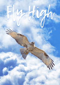 Fly High