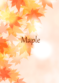 - Beautiful Maple -