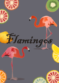 [改] 火烈鳥 + 灰色