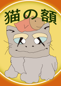 猫の額（ねこのひたい）