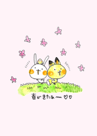 Cosplay rabbit spring