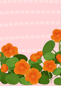 แนสเทอร์เทียมดอกไม้กินได้น่ารักเรียบง่าย