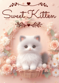 Sweet Kitten No.673