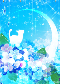 幸運を呼ぶ✨白猫と紫陽花