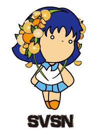 SVSN-orange party