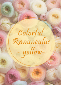 Colorful Ranunculus - yellow