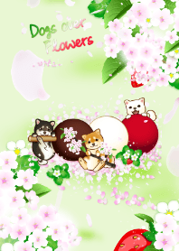 Dogs over Flowers14( strawberry, cherry)