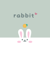 Rabbits. Orange - Dullness Green