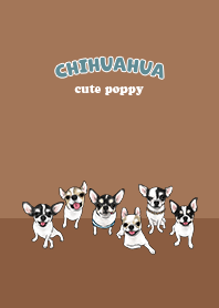 chihuahua1 / caramel