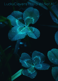 LuckyClovers Photo #6-3 Not AI