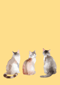 calm cats4 on brown & yellow