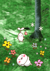 Forest of the Fairy