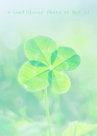4-Leaf Clover Photo #1-1NotAI