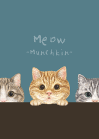Meow - Munchkin - CLASSY BLUE