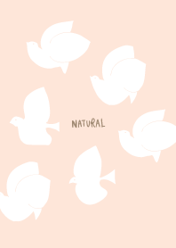6 white birds29