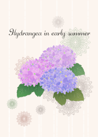 Hydrangea in early summer