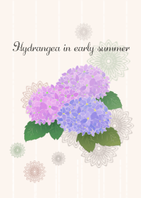 初夏のアジサイ