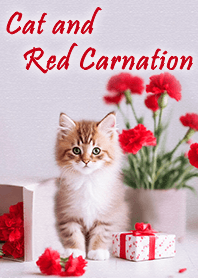 Cat and Carnation - red