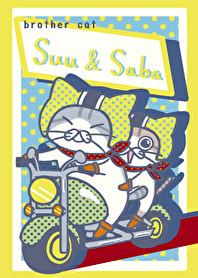 brother cat Suu&Saba American