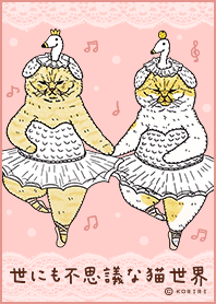 STRANGE WORLD OF CATS -ballerina-
